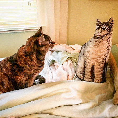 Ruby Sees God.